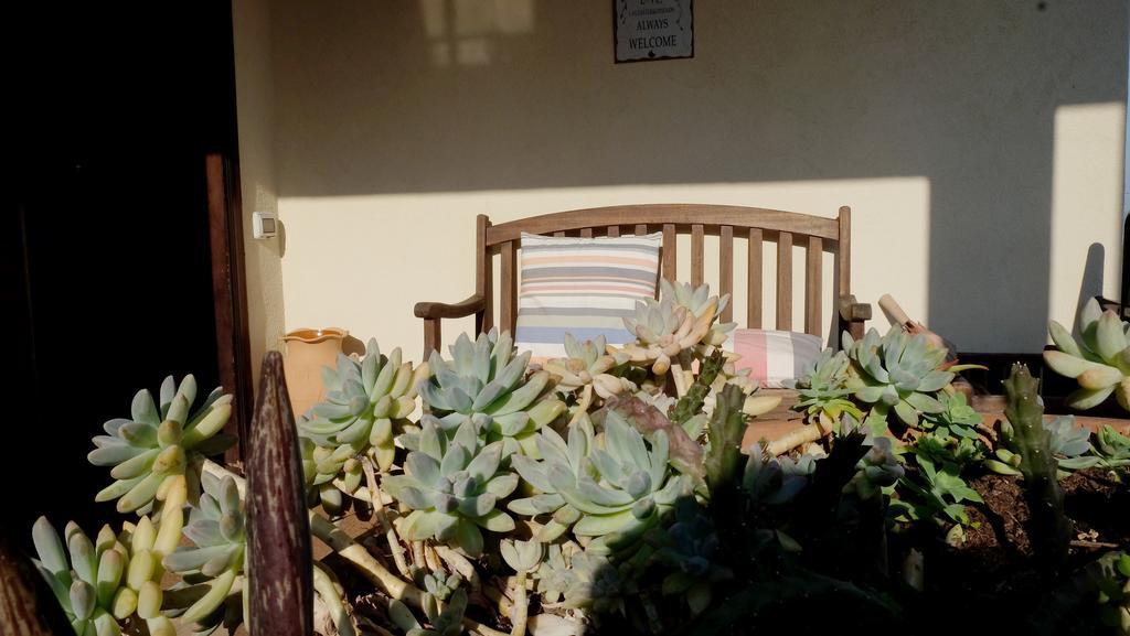 B&B Le Rose Siderno Exteriér fotografie